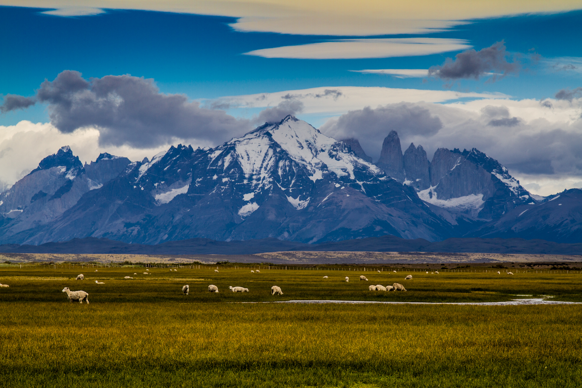 Vacanze in Cile visitare la Patagonia e il Parco di Torres del Paine