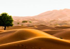 visita guidata nel deserto del rub al khali in oman
