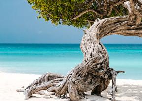 Vacanze ai Caraibi tra le isole più belle da inserire nell'itinerario personalizzato. Foto di spiaggia e mare