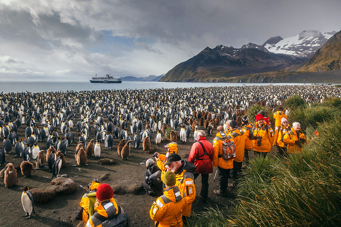 Viaggio in Antartide tour operator - foto David Merron