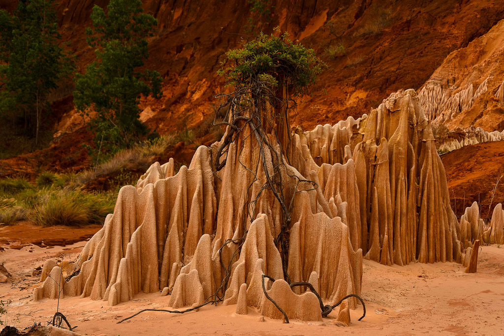 Africa Madagascar foto Tsingy di davide guglielmi