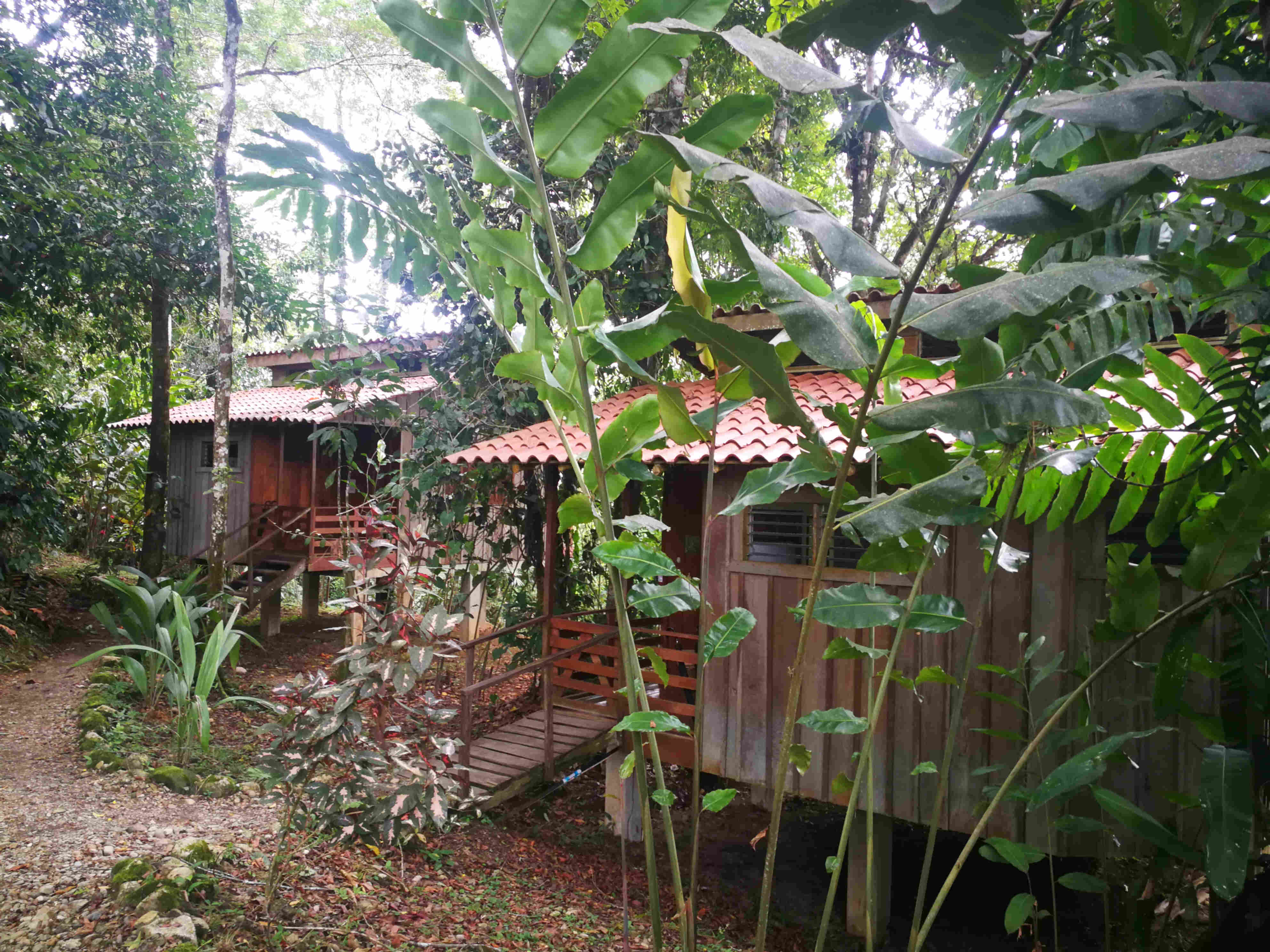 America Centrale_Costa Rica_Riserva Bananito_Simple life Lodge_Selva_Camere bungalow_Tour personalizzato_Blog
