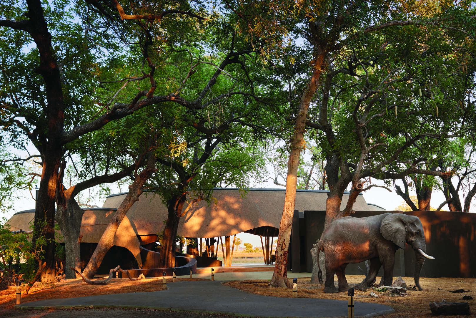 tour operator Belmond Safari in Botswana e luxury lodge