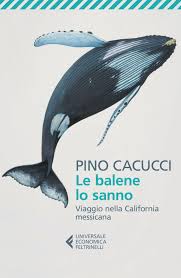 Copertina del libro le balene lo sanno viaggio nella california messicana di pino cacucci