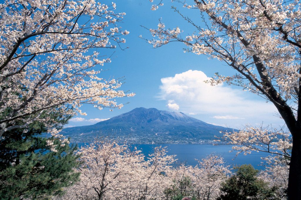 Sakurajima vulcano panorama
