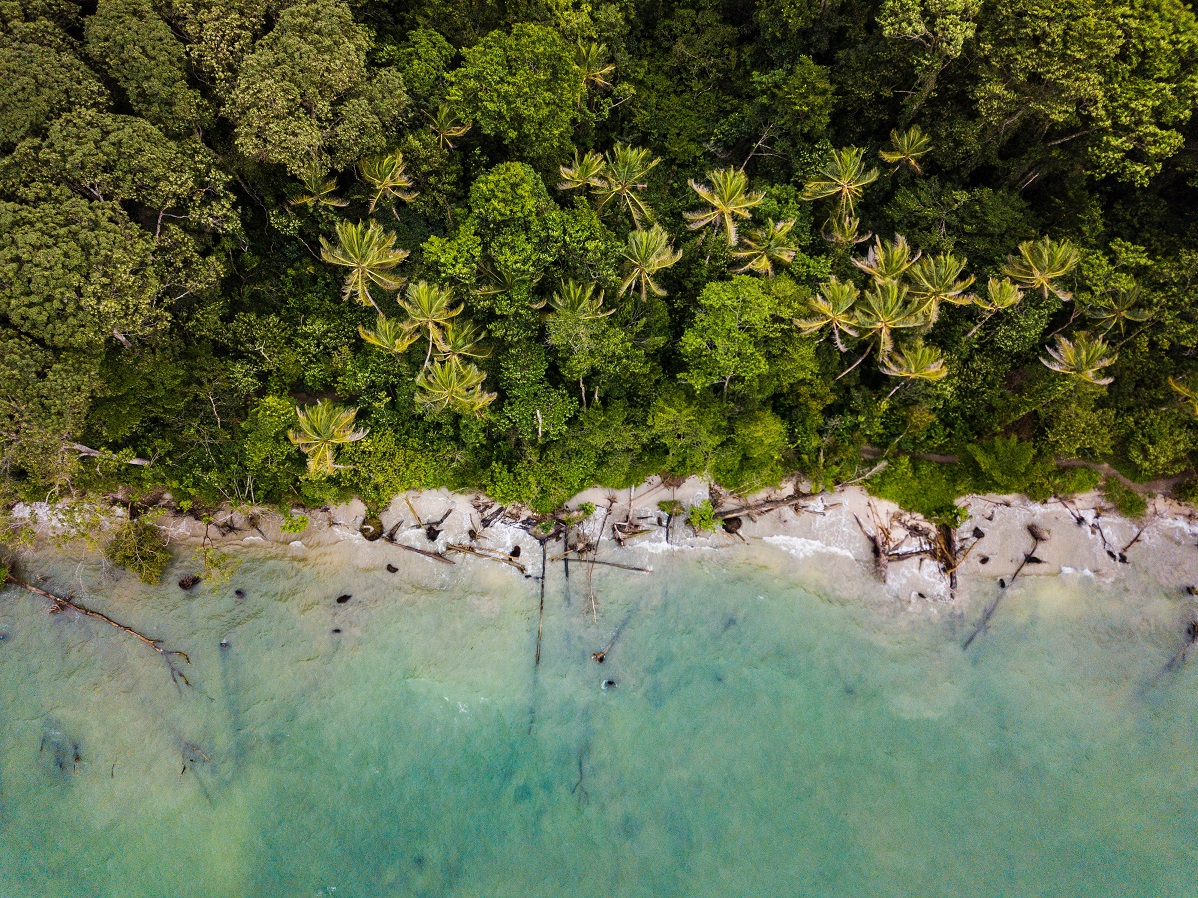 Viaggio vacanza personalizzata in Costa Rica spiaggia e foresta