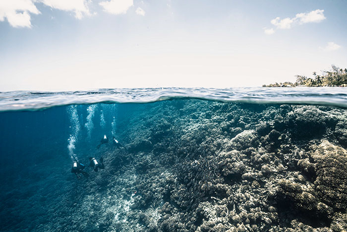Fakarava immersione nella barriera corallina della Polinesia
