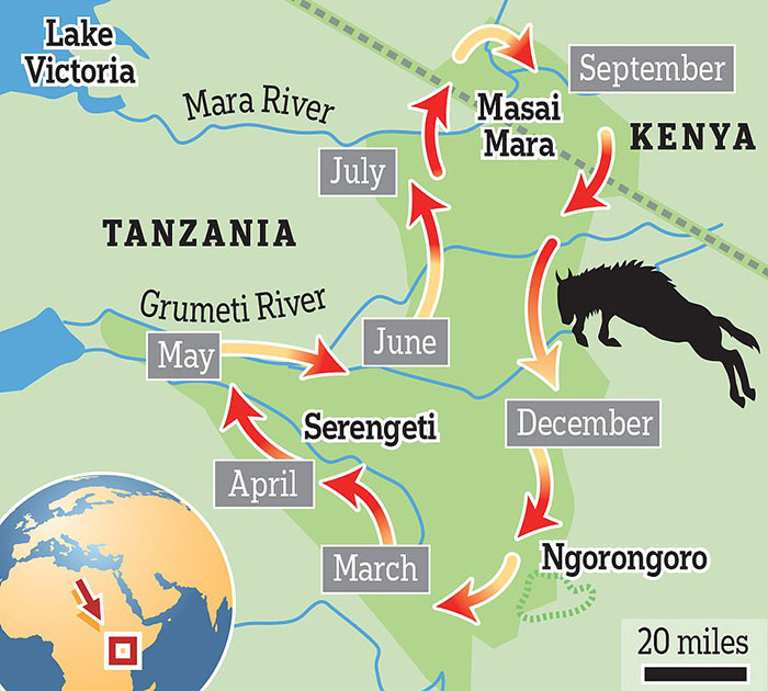 percorso grande migrazione nel parco Serengeti fra Kenya e Tanzania