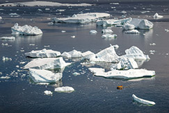 uscita in zodiad tra gli iceberg in antartide foto di David Merron