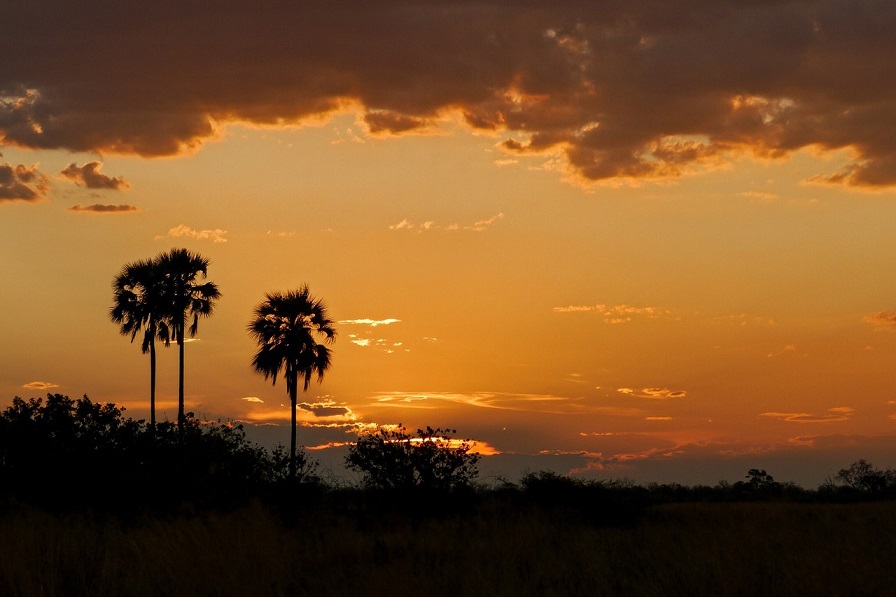 Panorama durante escursione privata nella riserva Moremi in Botswana