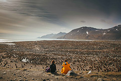 crociera al polo sud turisti osservano pinguini foto di David Merron