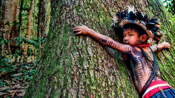 Viaggio in Amazzonia miglior tour operator natura e cultura con incontro popoli indigeni, nella foto un bambino abbraccia un albero 