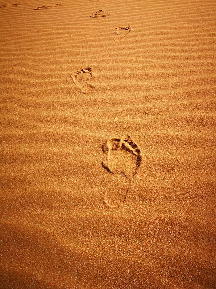 safari gita avventurosa nel deserto del Rub Al Khali in Oman. Foto impronte di piedi sulla sabbia come simbolo del viaggiatore in cammino