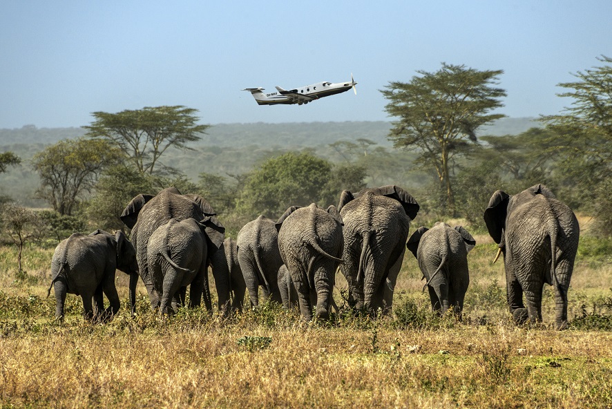 safari in aereo privato su misura con aereo pilatus pc-12 in Tanzania