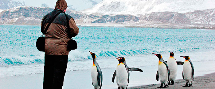 Incontrare i pinguini in Antartide con viaggio-spedizione organizzato