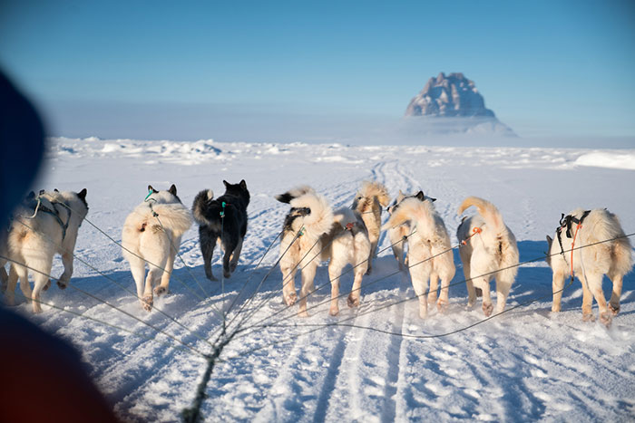 Viaggio organizzato in Groenlandia sud-occidentale spostamenti in slitta trainata dai cani