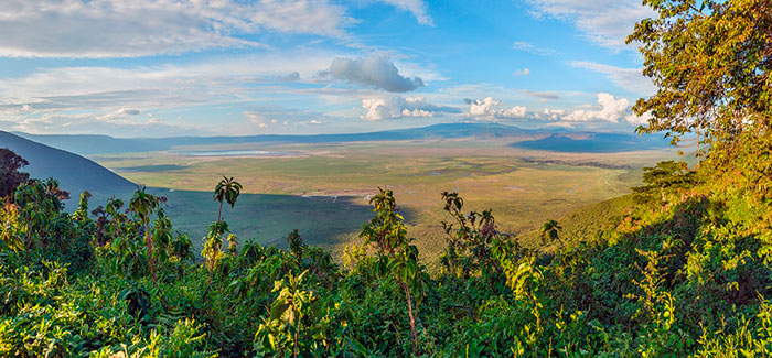 viaggio in Tanzania con safari nel Cratere Ngorongoro considerato la culla dell'umanità