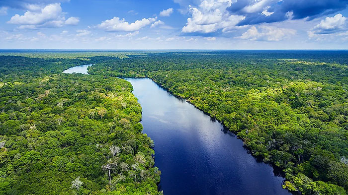 visitare la foresta amazzonica con un tour organizzato in estate