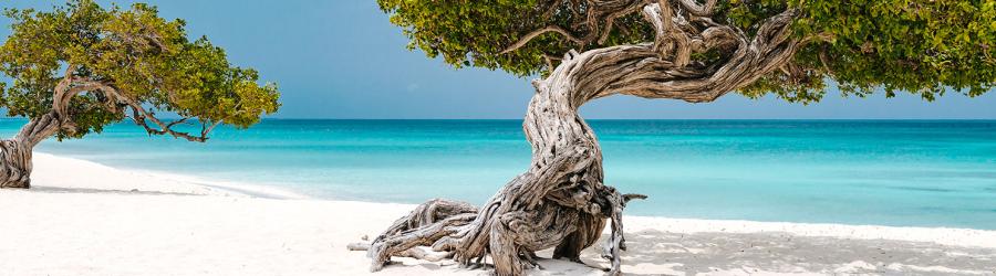 Vacanze ai Caraibi tra le isole più belle da inserire nell'itinerario personalizzato. Foto di spiaggia e mare