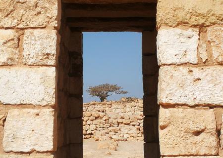viaggio in Oman foto scattata a Salalah Khor Rori nel tour del paese arabo