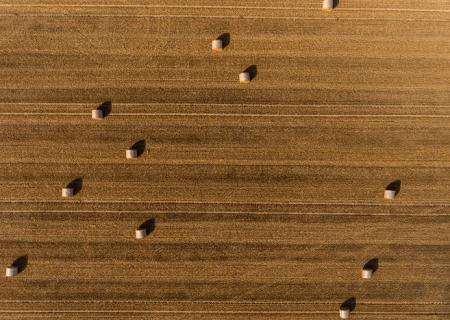 campi di fieno fotografati in volo da bassa quota foto di Jean Wimmerlin su Unsplash
