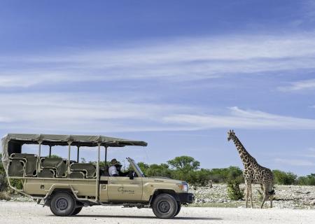 safari in jeep al parco nazionale etosha osservando animali e natura selvaggia