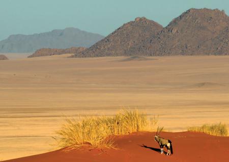 meraviglioso scenario che avvolge wolwedans dune camp in Namibia nella riserva naturale di Namib Rand da percorrere in quad o jeep 4x4