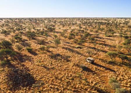 lasciati avvolgere dalla natura con un dinamico nature drive in sudafrica con jeep 4x4