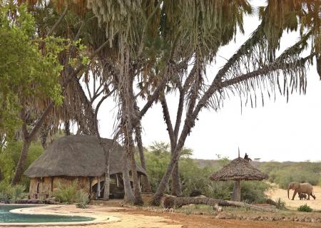 lodge saruni rhino con piscina e servizi personalizzati per godersi al meglio l'esperienza di viaggio in Kenya nella savana ricca di fauna