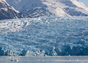 patagonia cile parco torres del paine lago grey