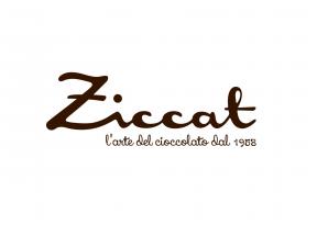 Logo Ziccat