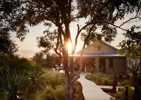 la natura del timbavati circonda la farmhouse royal malewane, una location perfetta per il tuo viaggio in Sudafrica